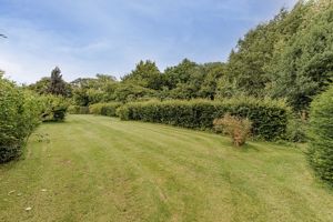 Photo 23- click for photo gallery